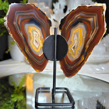 Lade das Bild in den Galerie-Viewer, Achat Schmetterling mit Druzy auf Stand
