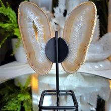Lade das Bild in den Galerie-Viewer, Achat Schmetterling mit Druzy auf Stand
