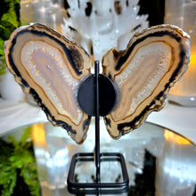 Lade das Bild in den Galerie-Viewer, Achat Schmetterling auf Stand
