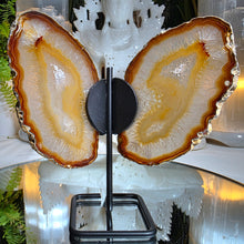 Lade das Bild in den Galerie-Viewer, Achat Schmetterling mit Druzy auf Stand
