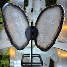 Lade das Bild in den Galerie-Viewer, Achat Schmetterling auf Stand

