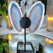 Lade das Bild in den Galerie-Viewer, Achat Schmetterling auf Stand
