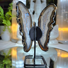 Lade das Bild in den Galerie-Viewer, Achat Schmetterling auf Stand
