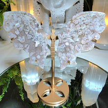 Lade das Bild in den Galerie-Viewer, Flowerachat Schmetterling auf Stand
