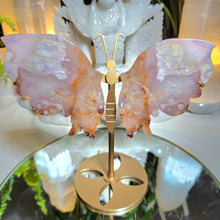 Lade das Bild in den Galerie-Viewer, Flowerachat Schmetterling auf Stand
