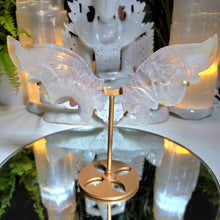Lade das Bild in den Galerie-Viewer, Flowerachat Schmetterling auf Stand
