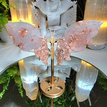 Lade das Bild in den Galerie-Viewer, Flowerachat Schmetterling auf Stand

