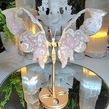 Lade das Bild in den Galerie-Viewer, Flowerachat Schmetterling auf Stand
