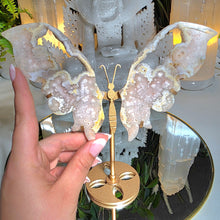 Lade das Bild in den Galerie-Viewer, Flowerachat Schmetterling auf Stand
