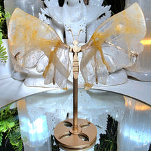 Lade das Bild in den Galerie-Viewer, Golden Healer Schmetterling auf Stand
