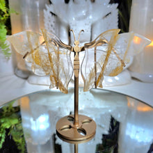Lade das Bild in den Galerie-Viewer, Golden Healer Schmetterling auf Stand
