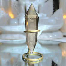Lade das Bild in den Galerie-Viewer, Rauchquarz Vogel Cut auf Stand

