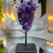 Lade das Bild in den Galerie-Viewer, Amethyst Cluster auf Stand
