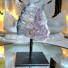 Lade das Bild in den Galerie-Viewer, Amethyst Aura Cluster mit Stand

