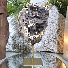 Lade das Bild in den Galerie-Viewer, Achat Druse auf Stand
