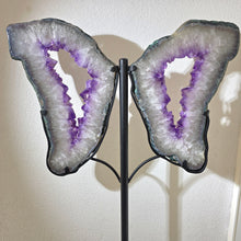 Lade das Bild in den Galerie-Viewer, XXL Amethyst Flügel Paar auf Stand
