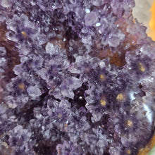 Lade das Bild in den Galerie-Viewer, Flower Power Amethyst mit Stalaktitblüten Cluster auf Stand
