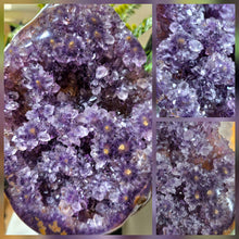 Lade das Bild in den Galerie-Viewer, Flower Power Amethyst mit Stalaktitblüten Cluster auf Stand
