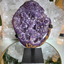 Lade das Bild in den Galerie-Viewer, Flower Power Amethyst mit Stalaktitblüten Cluster auf Stand
