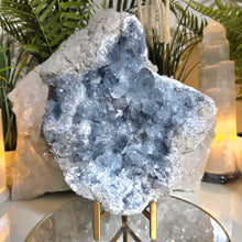 Lade das Bild in den Galerie-Viewer, Großer Coelestin Cluster mit Stand
