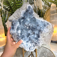 Lade das Bild in den Galerie-Viewer, Großer Coelestin Cluster mit Stand
