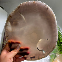 Lade das Bild in den Galerie-Viewer, Achat Scheibe

