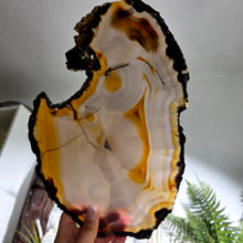 Lade das Bild in den Galerie-Viewer, Achat Scheibe
