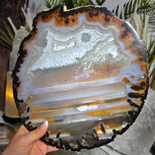Lade das Bild in den Galerie-Viewer, Achat Scheibe
