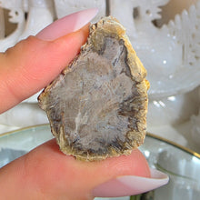 Lade das Bild in den Galerie-Viewer, Versteinertes Holz
