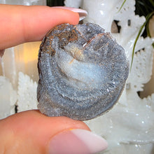 Lade das Bild in den Galerie-Viewer, Chalcedon Rose
