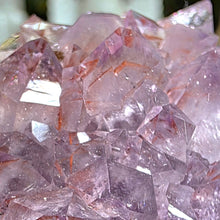 Lade das Bild in den Galerie-Viewer, Amethyst Cluster mit roten Hämatit Phantomen

