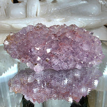 Lade das Bild in den Galerie-Viewer, Amethyst Cluster mit roten Hämatit Phantomen
