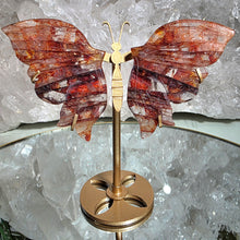 Lade das Bild in den Galerie-Viewer, Feuerquarz Schmetterling auf Stand
