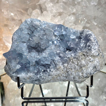 Lade das Bild in den Galerie-Viewer, Großer Coelestin Cluster mit Stand
