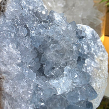 Lade das Bild in den Galerie-Viewer, Großer Coelestin Cluster mit Stand
