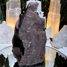 Lade das Bild in den Galerie-Viewer, Feenholz permineralisiertes fossiles Holz
