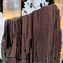 Lade das Bild in den Galerie-Viewer, Feenholz permineralisiertes fossiles Holz
