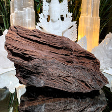 Lade das Bild in den Galerie-Viewer, Feenholz permineralisiertes fossiles Holz

