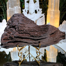 Lade das Bild in den Galerie-Viewer, Feenholz permineralisiertes fossiles Holz
