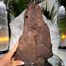 Lade das Bild in den Galerie-Viewer, Großes Feenholz permineralisiertes fossiles Holz
