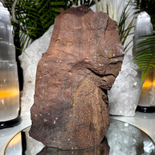 Lade das Bild in den Galerie-Viewer, Großes Feenholz permineralisiertes fossiles Holz

