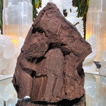 Lade das Bild in den Galerie-Viewer, Feenholz permineralisiertes fossiles Holz
