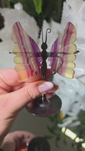 Laden und Abspielen von Videos im Galerie-Viewer, Fluorit Schmetterling mit Stand
