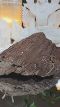 Laden und Abspielen von Videos im Galerie-Viewer, Feenholz permineralisiertes fossiles Holz
