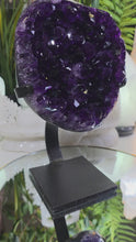 Laden und Abspielen von Videos im Galerie-Viewer, XL High Quality Amethyst Cluster auf Stand
