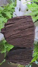 Laden und Abspielen von Videos im Galerie-Viewer, Feenholz permineralisiertes fossiles Holz
