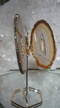 Laden und Abspielen von Videos im Galerie-Viewer, Achat Schmetterling mit Goldrand auf Stand
