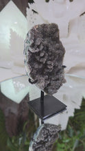 Laden und Abspielen von Videos im Galerie-Viewer, Regenbogen Amethyst auf Stand
