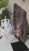 Laden und Abspielen von Videos im Galerie-Viewer, XL Turmalin mit Mika auf Stand

