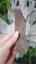 Laden und Abspielen von Videos im Galerie-Viewer, Feenholz permineralisiertes fossiles Holz

